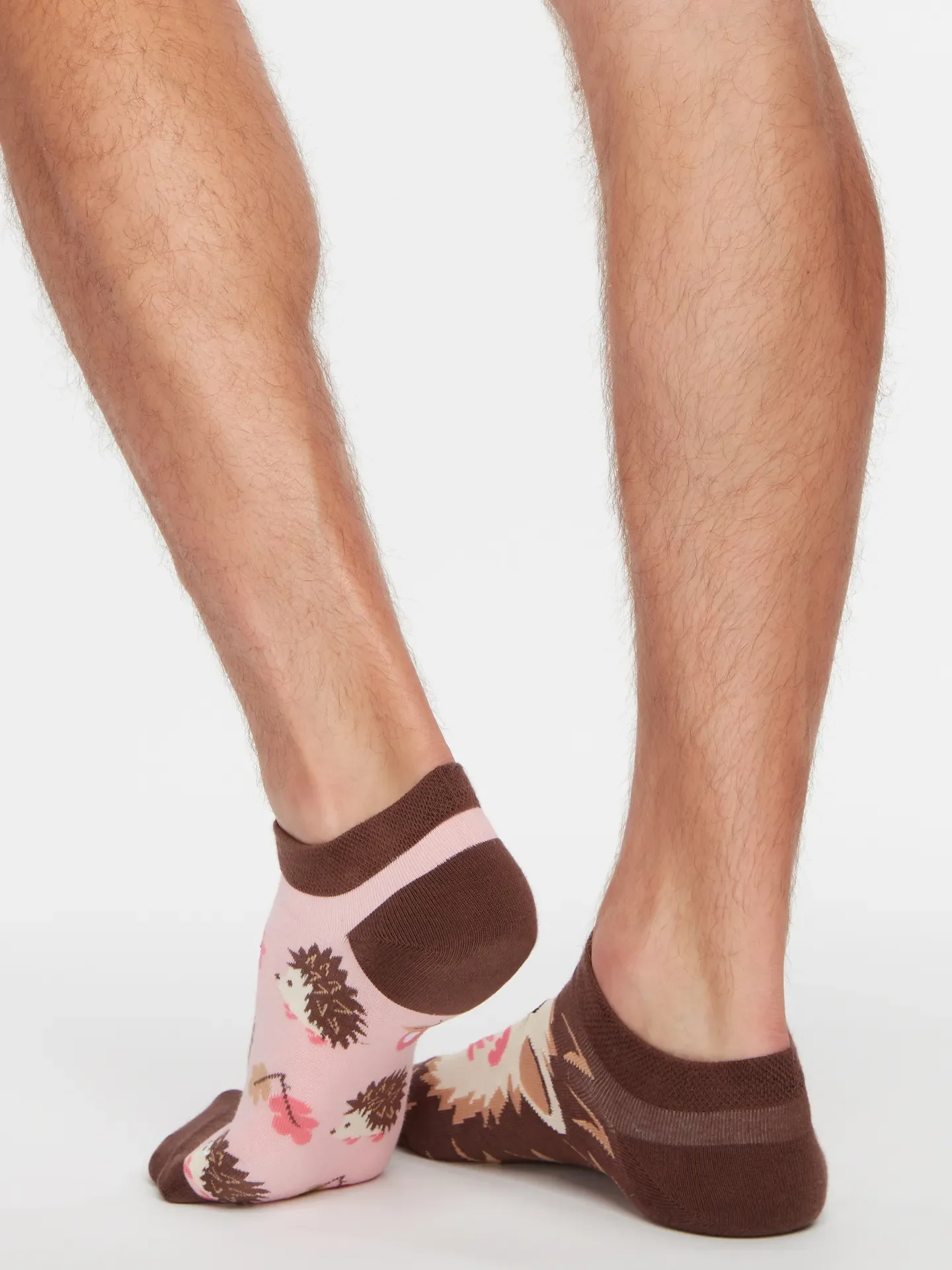 Lustige Knöchelsocken Igel - Image 3