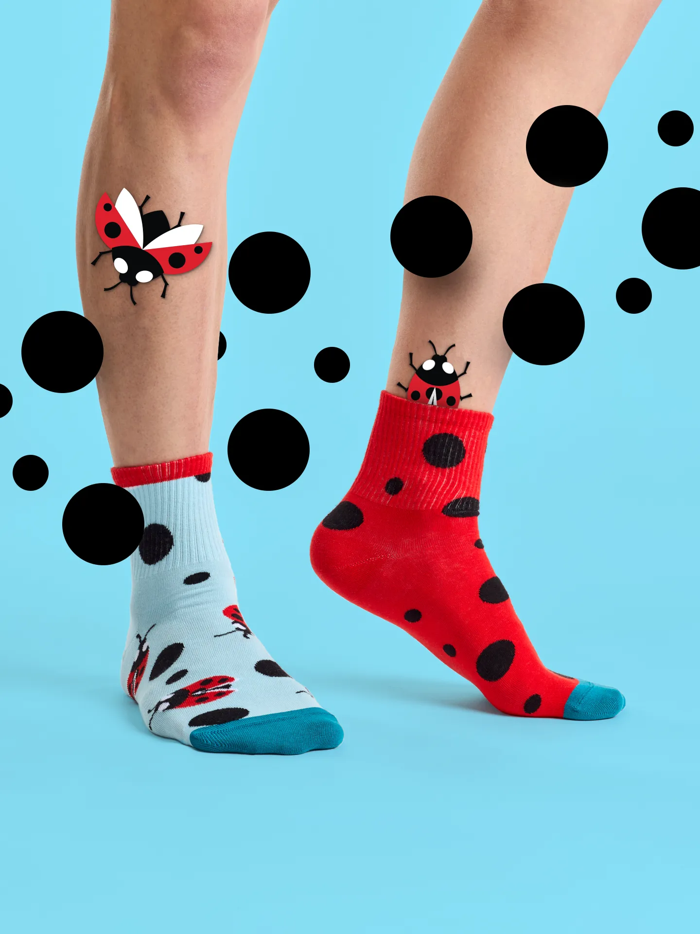 Lustige Crewsocken Marienkäfer und Punkte - Image 5