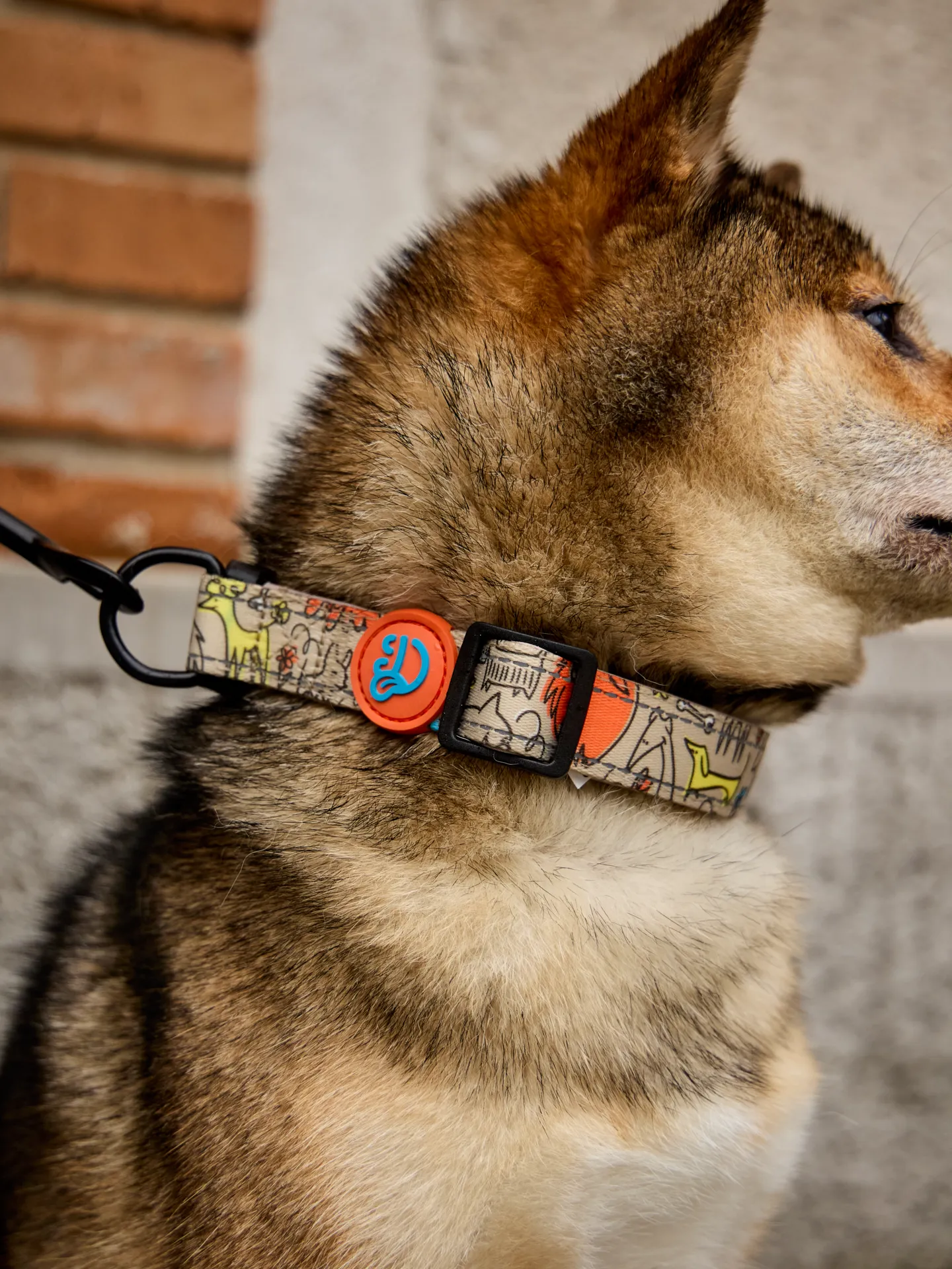 Hundehalsband Hundepack - Image 4