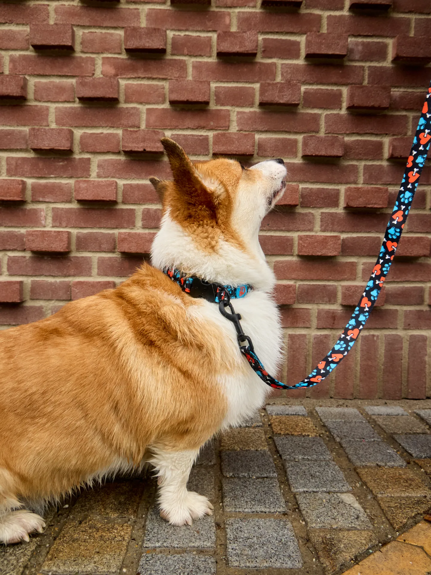 Hundehalsband Herzen und Pfoten - Image 4