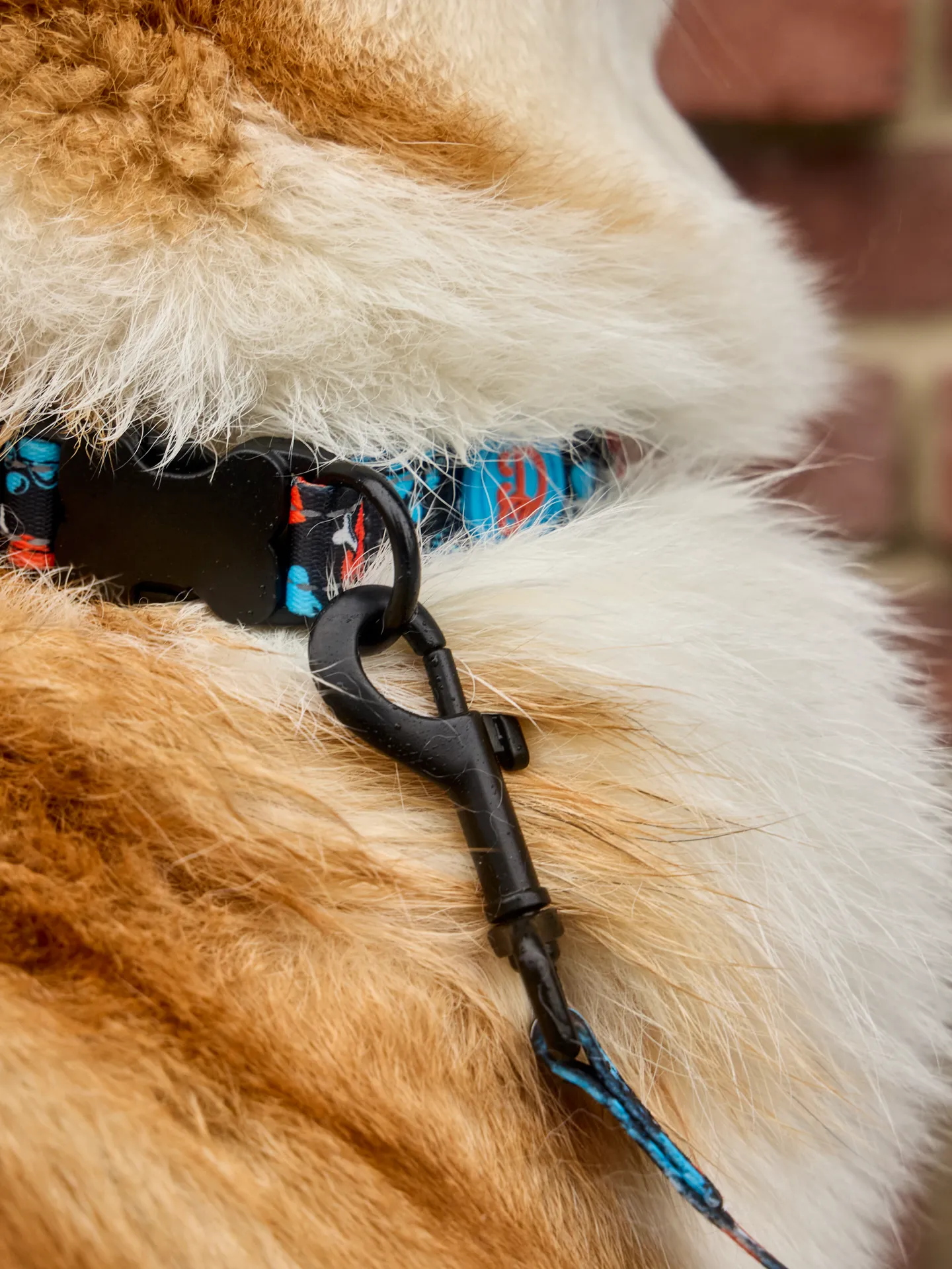 Hundehalsband Herzen und Pfoten - Image 5