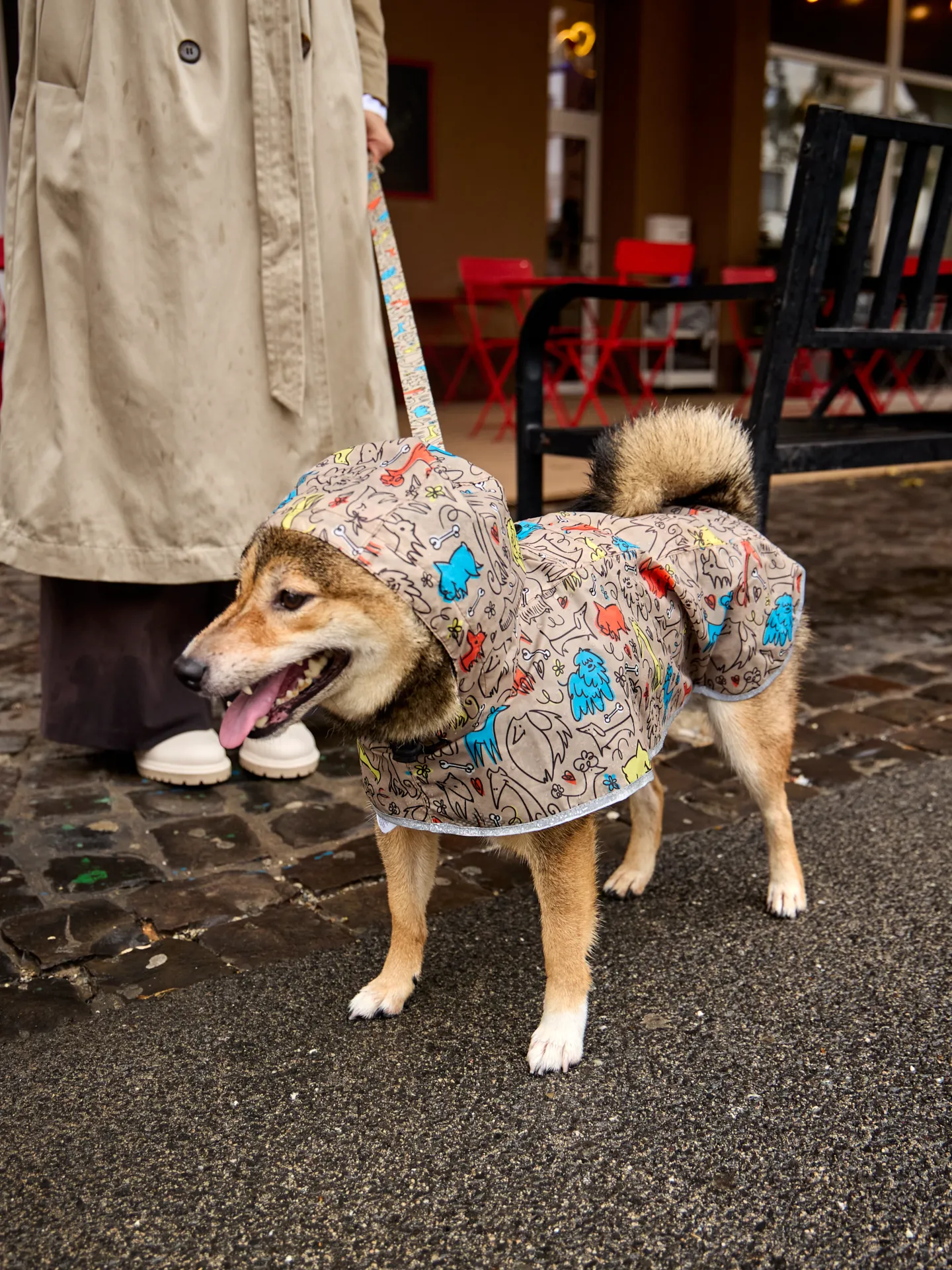 Regenmantel für Hunde Hundepack - Image 8