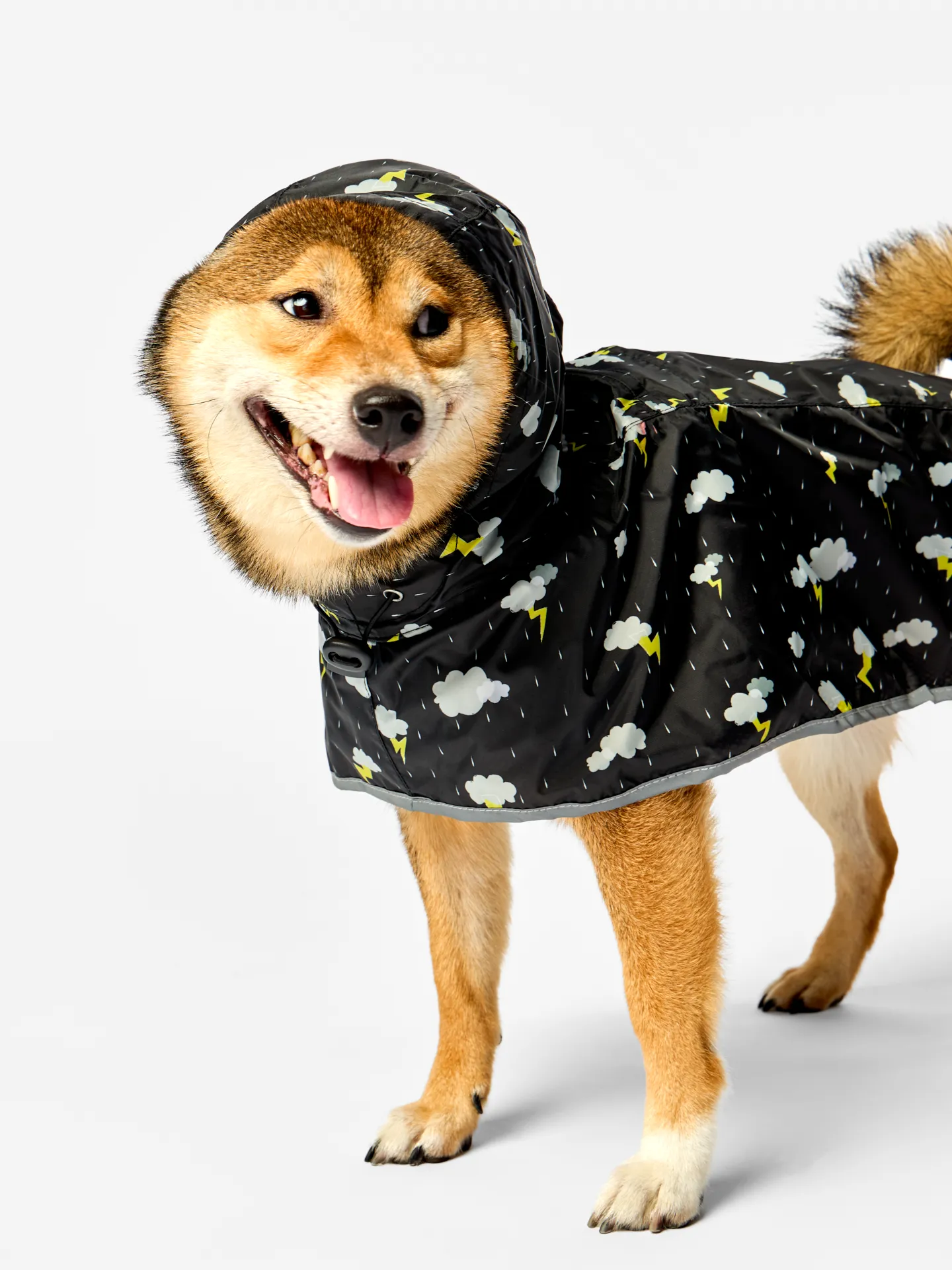 Regenmantel für Hunde Sturm - Image 3