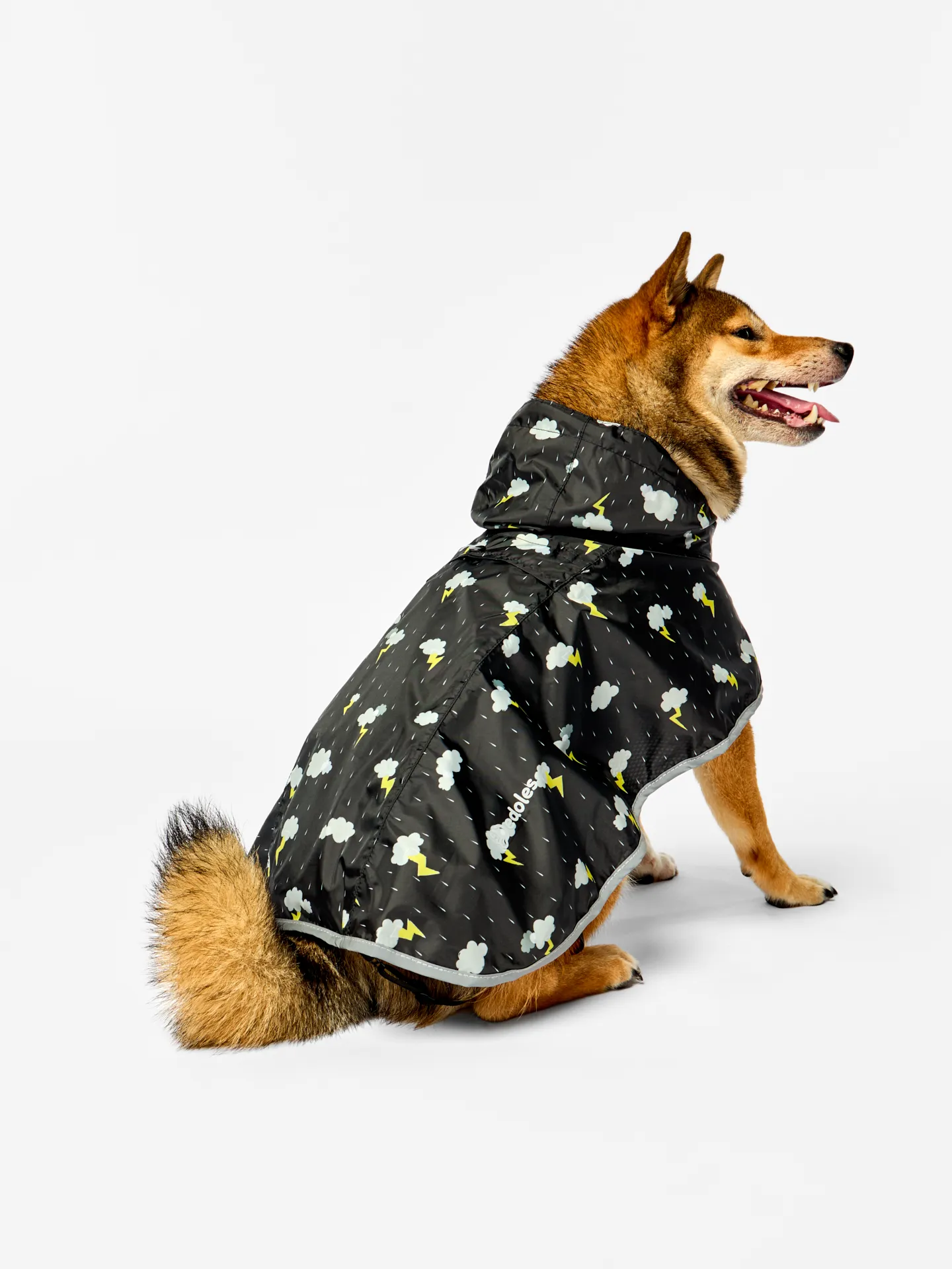 Regenmantel für Hunde Sturm - Image 5