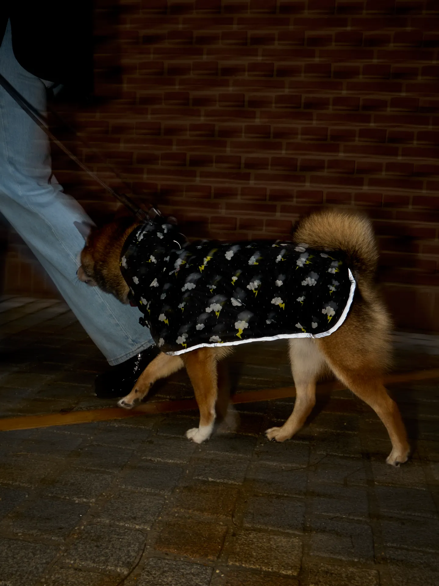 Regenmantel für Hunde Sturm - Image 8