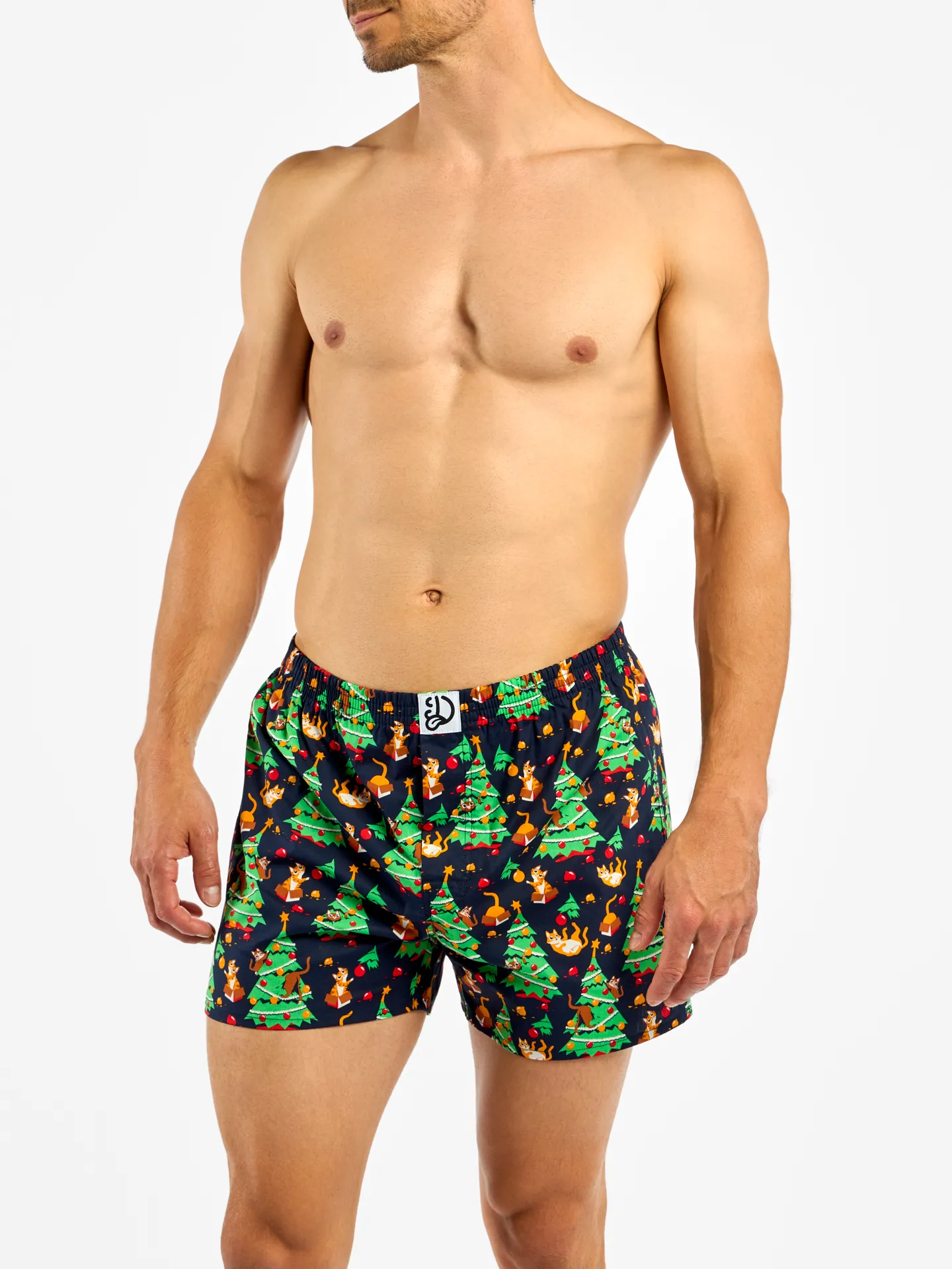 Lustige Shorts für Männer Katzenparty - Image 2