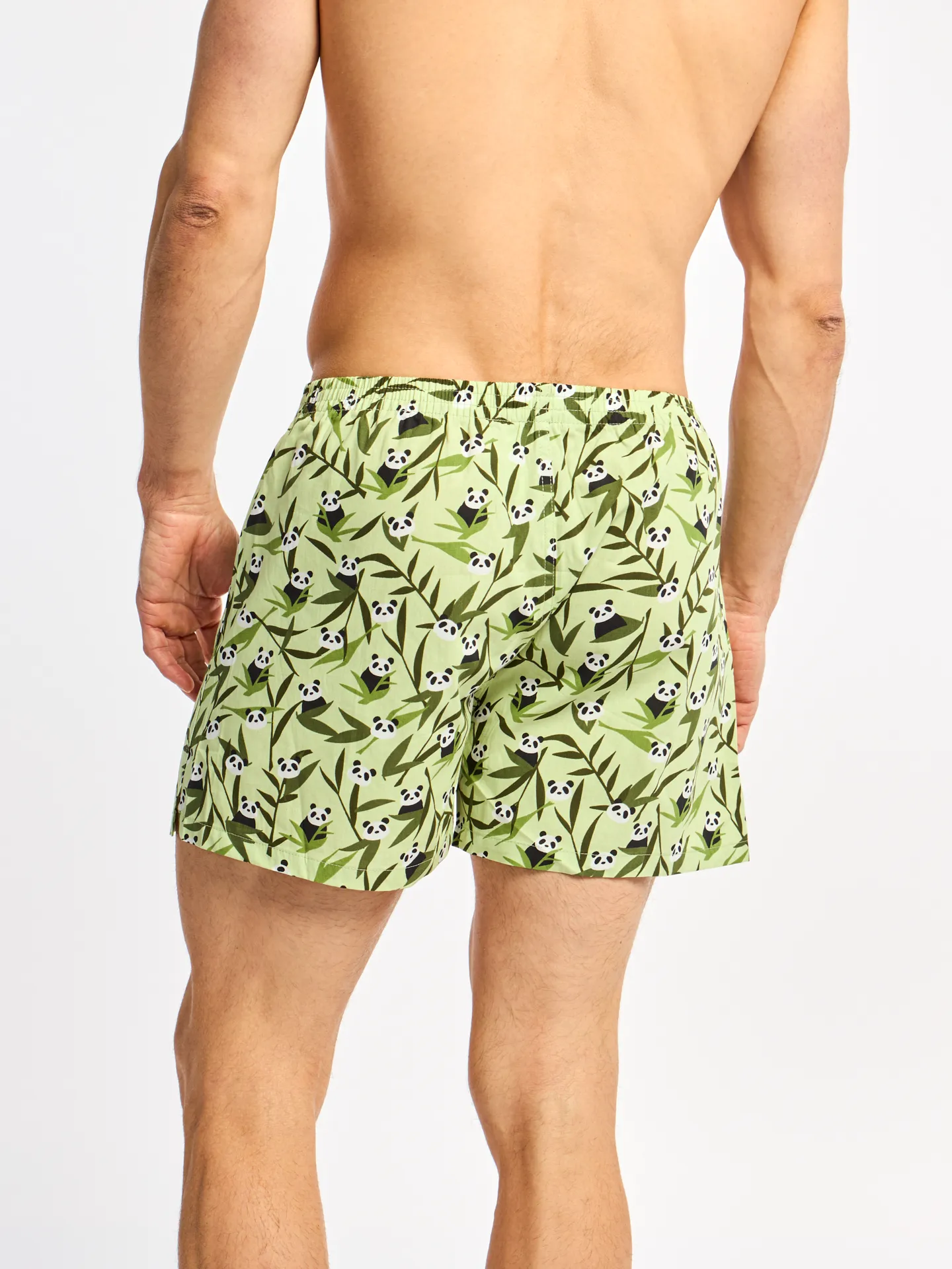 Lustige Shorts für Männer Pandas und Bambus - Image 2