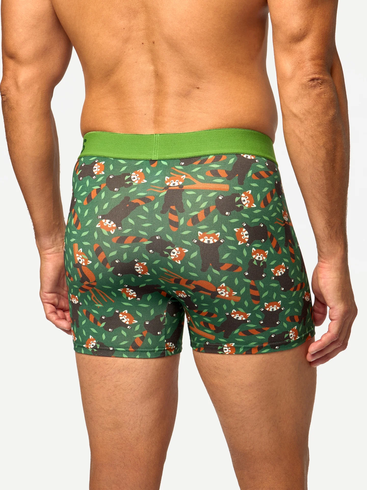 Lustige Boxershorts für Herren Roter Panda - Image 2