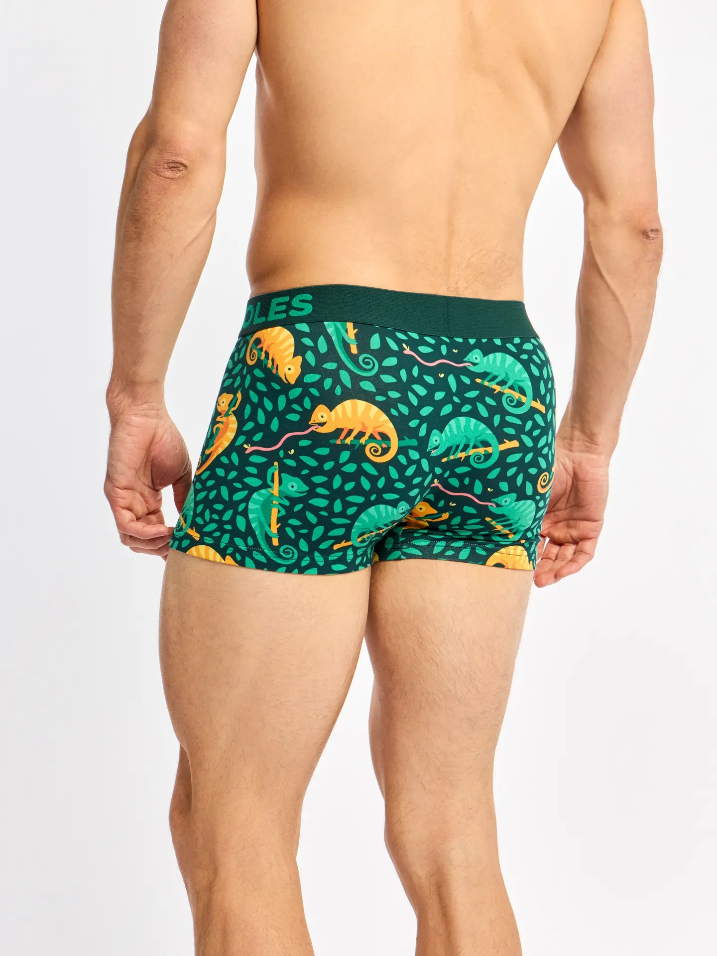 Gekürzte Boxershorts für Männer Chamäleon auf der Jagd - Image 5