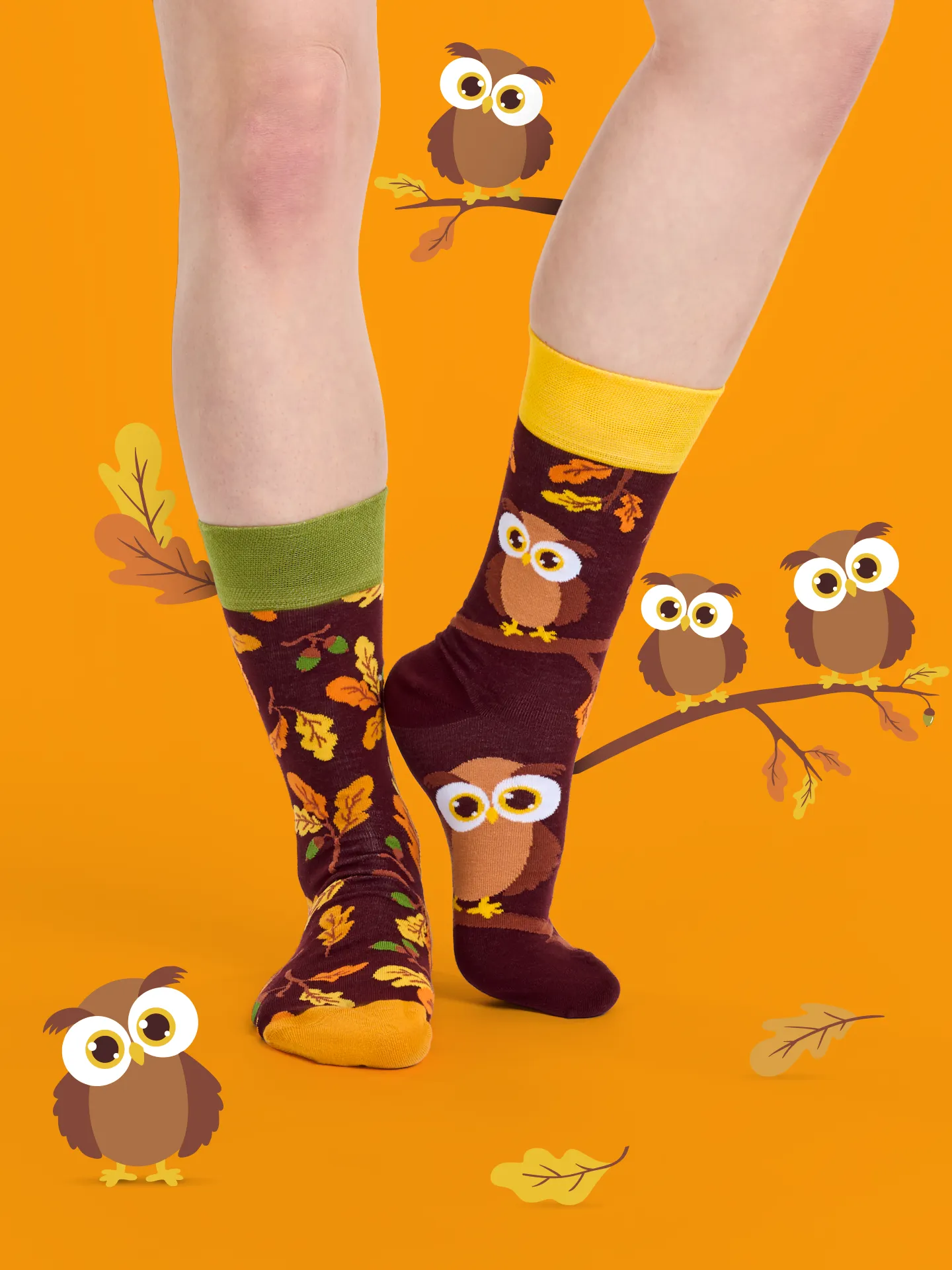 Lustige Socken Neugierige Eule - Image 5