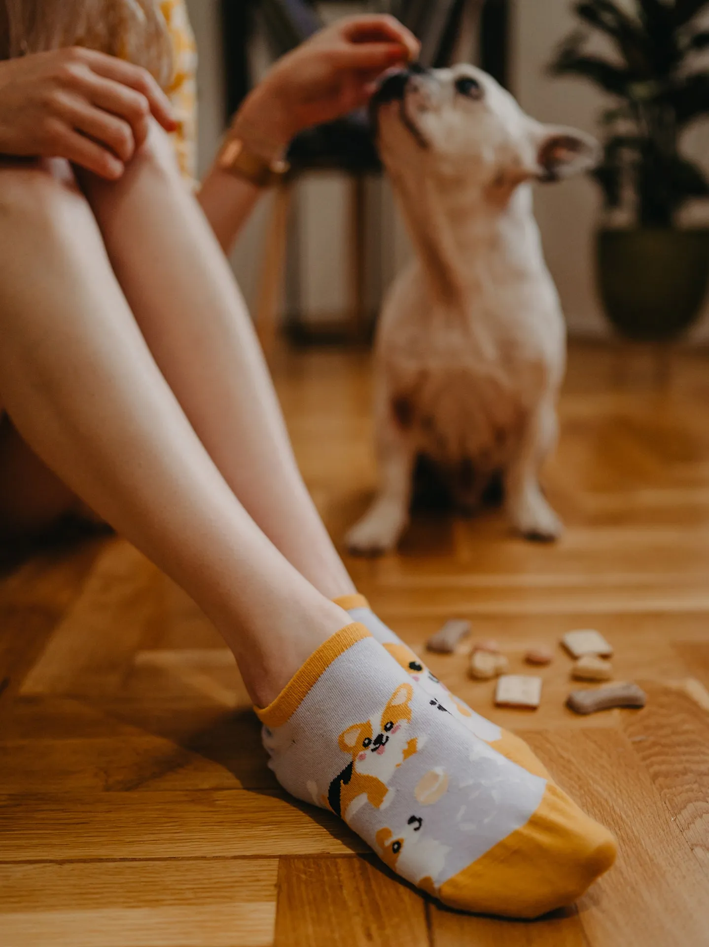 Lustige Sneakersocken Corgi-Hund - Image 5