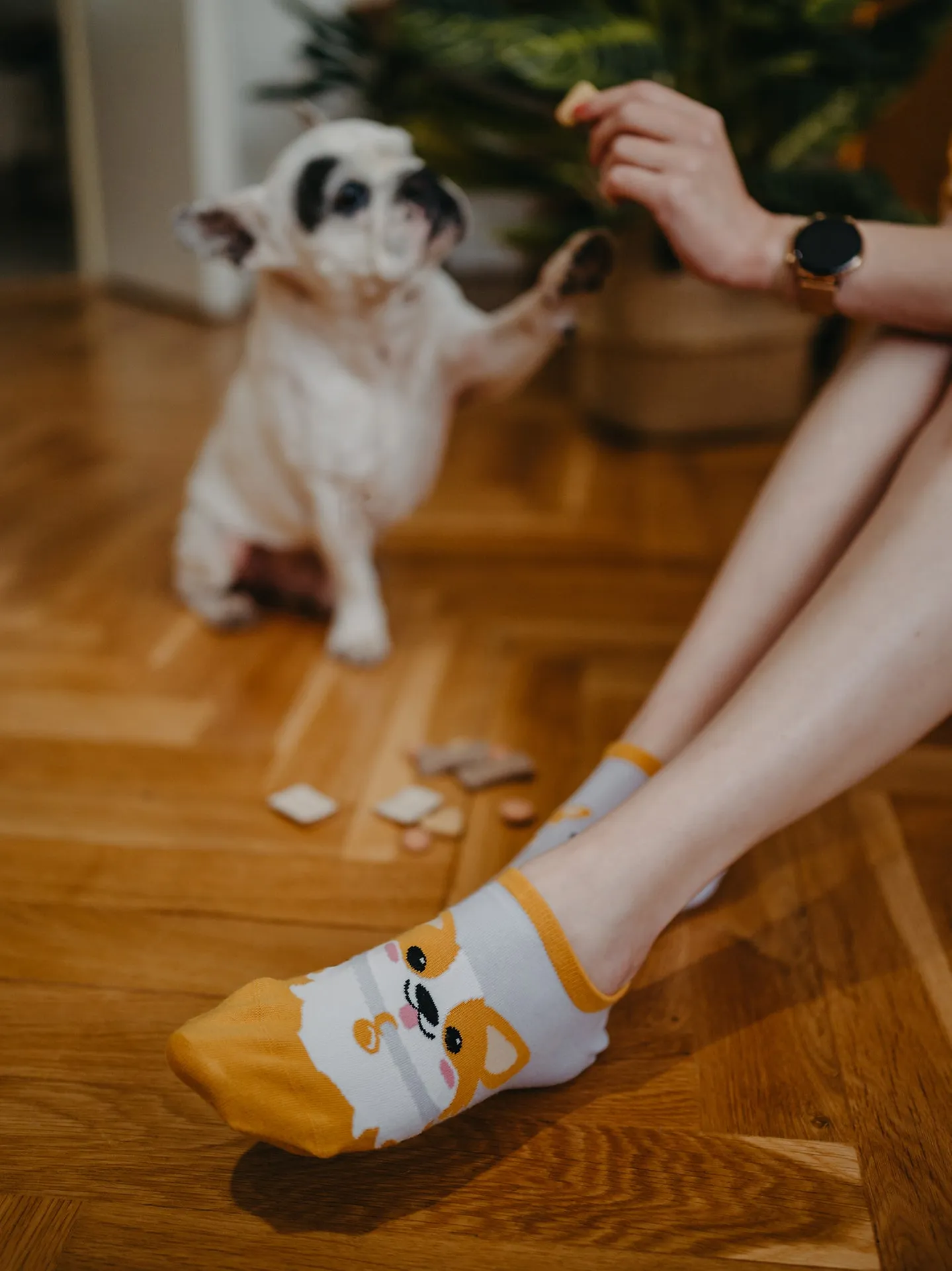 Lustige Sneakersocken Corgi-Hund - Image 6