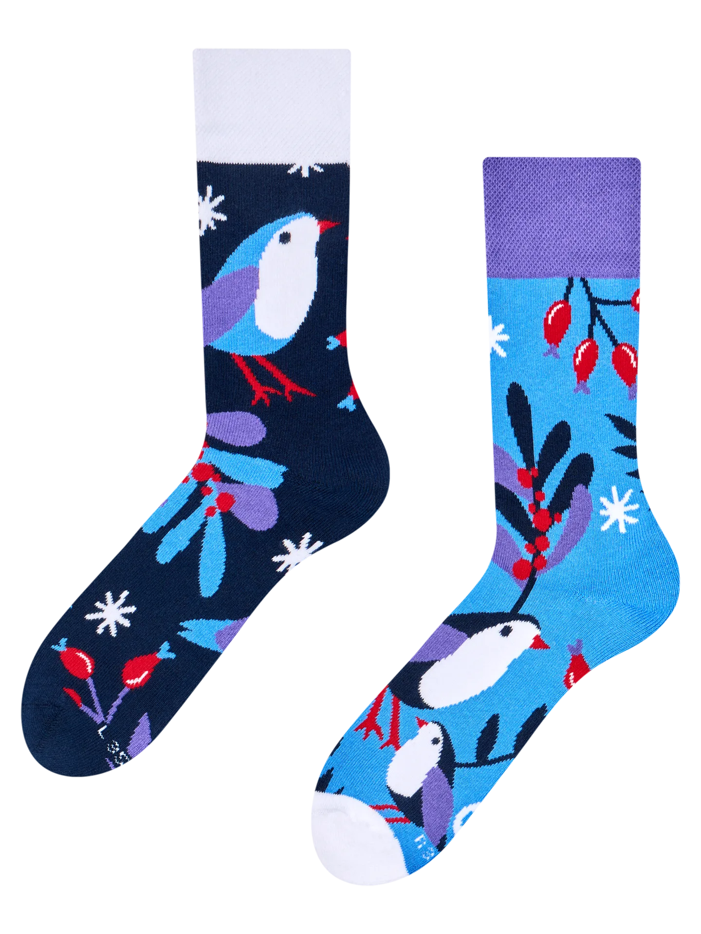 Warme Socken Wintervogel im Winter