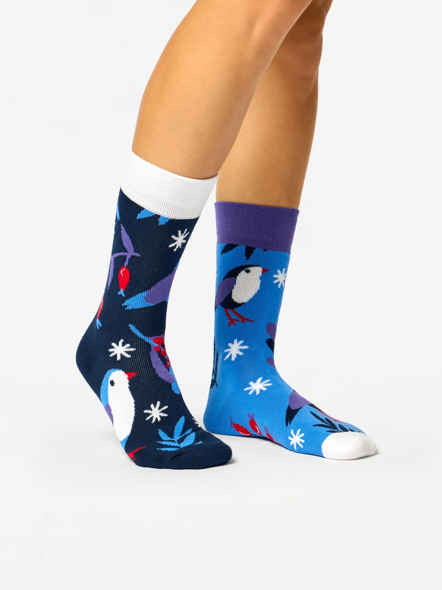 Warme Socken Wintervogel im Winter - Image 3